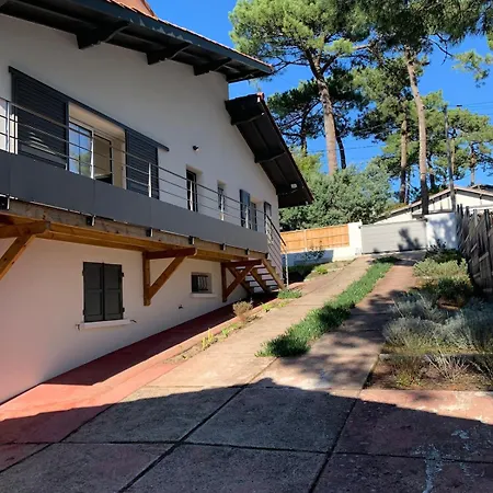 Avec Piscine Au Pyla Villa *