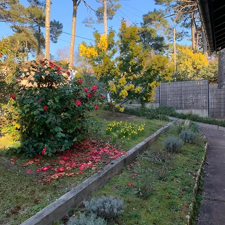 Villa Avec Piscine Au Pyla